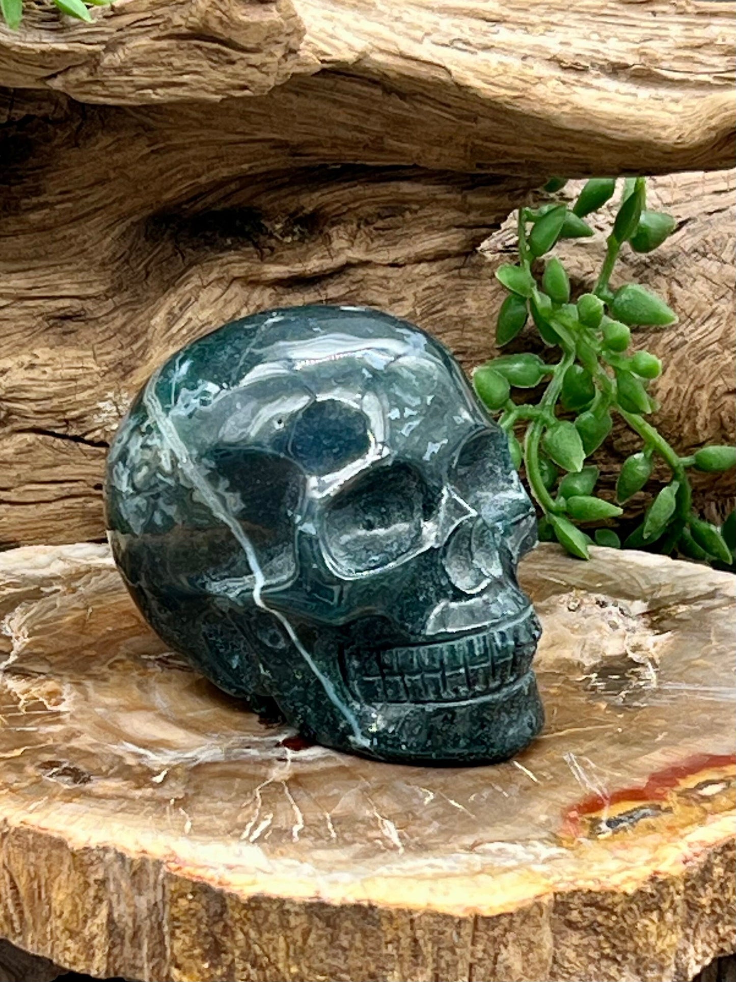 Moss Agate Skull