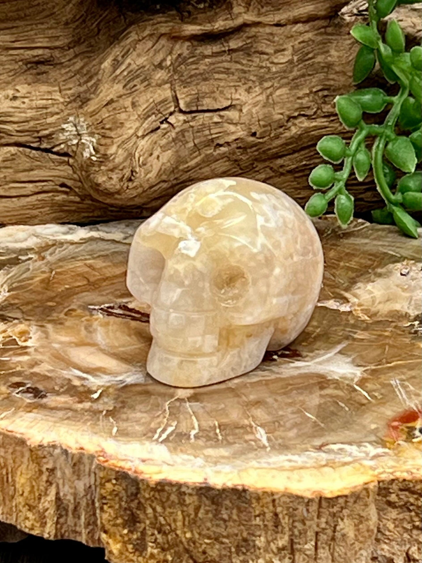 Skull Carving