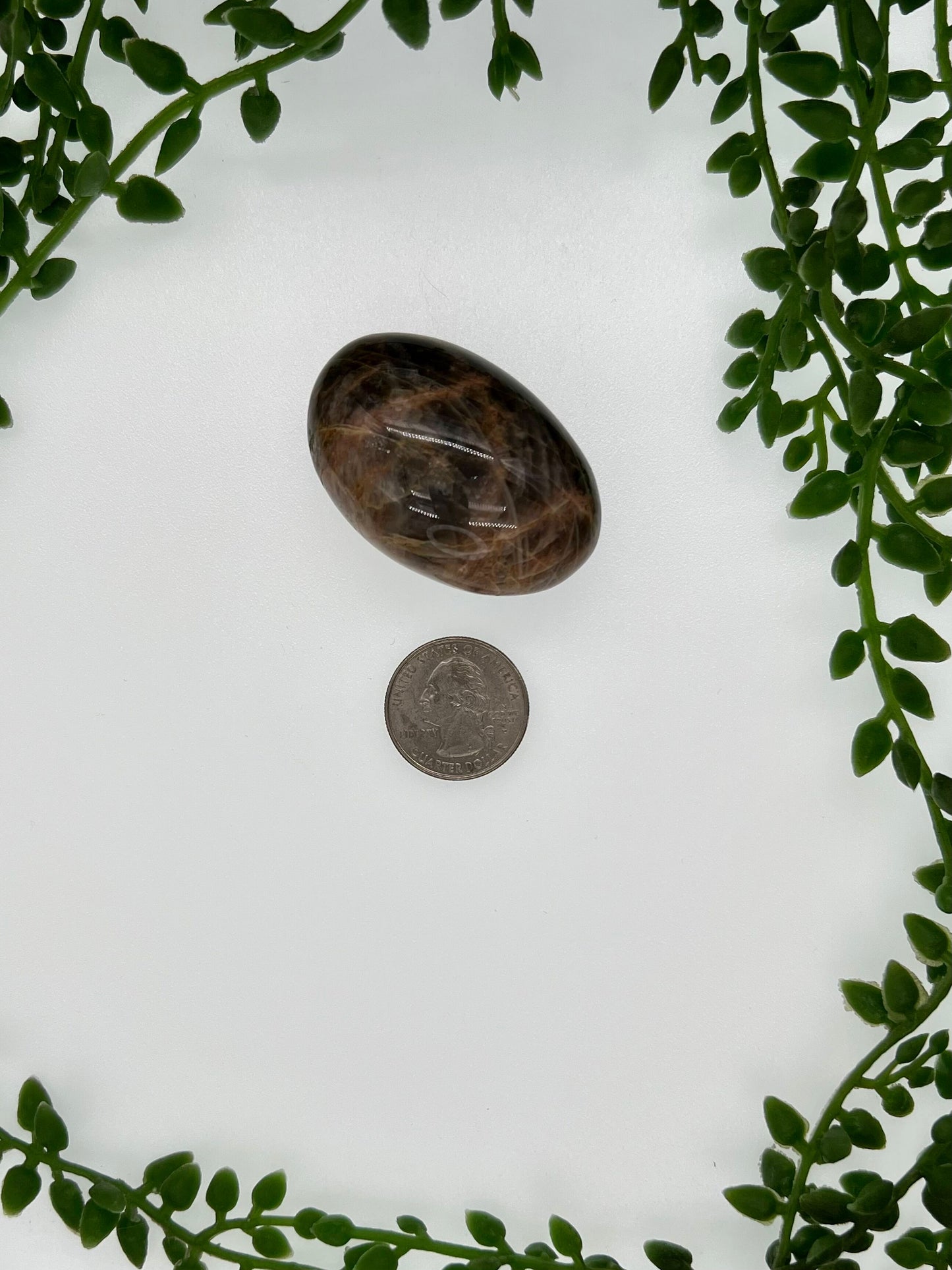 Black Moonstone Palm Stone