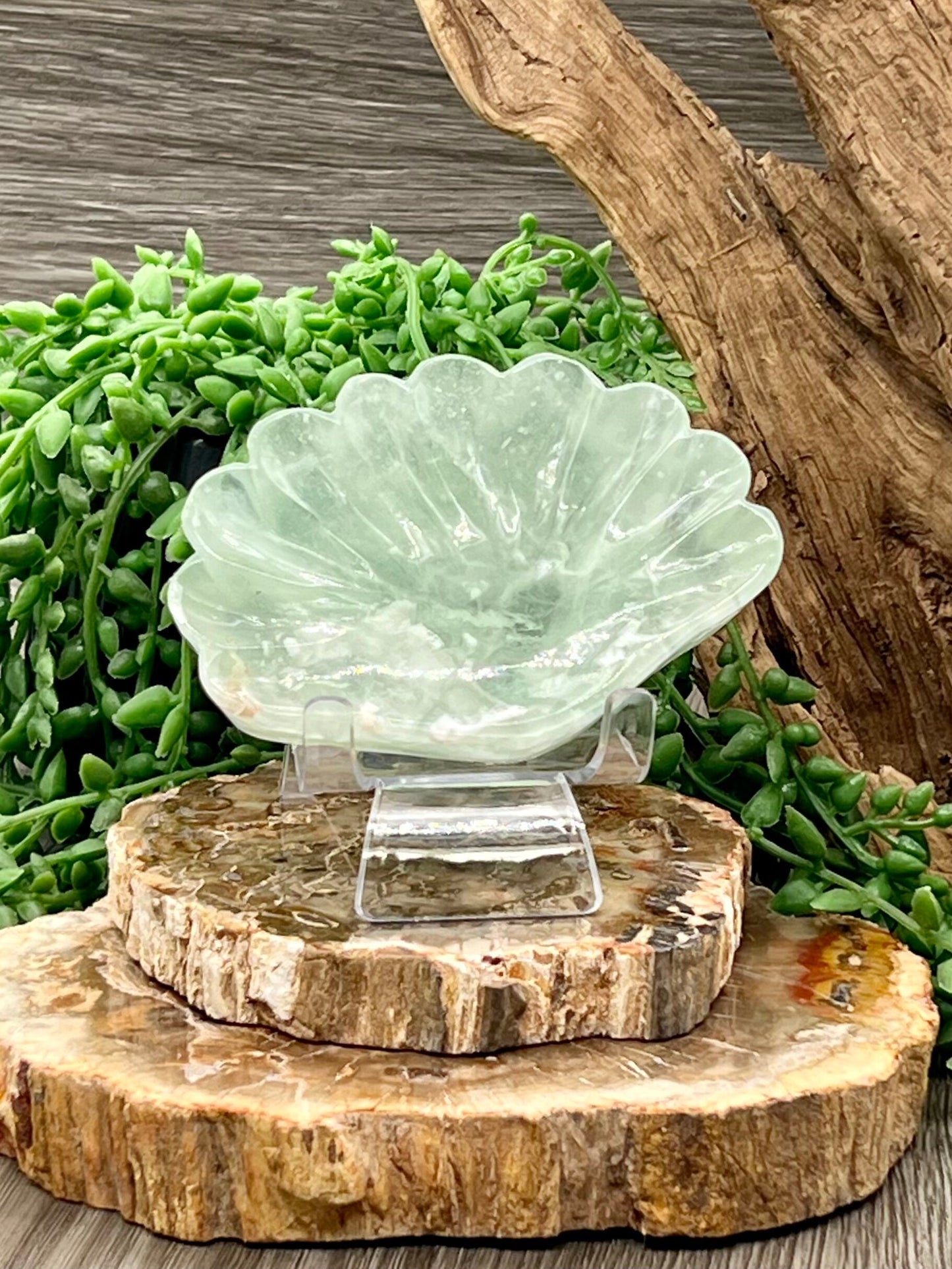 Green Fluorite Shell Bowl