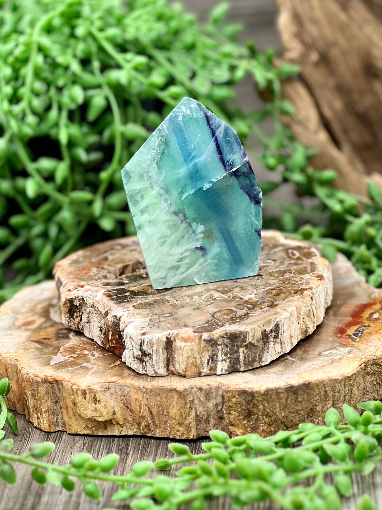 Feather Rainbow Fluorite Freeform