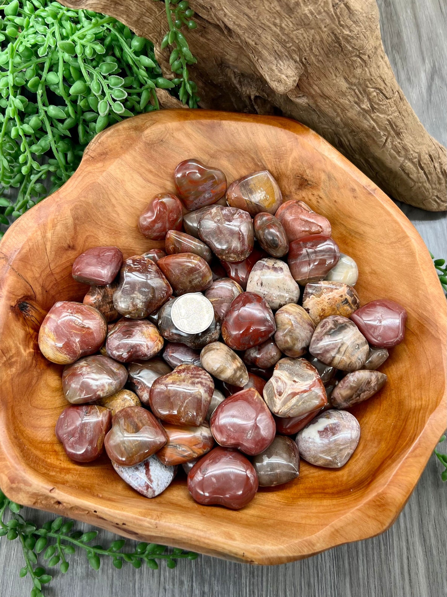 Petrified Wood Heart