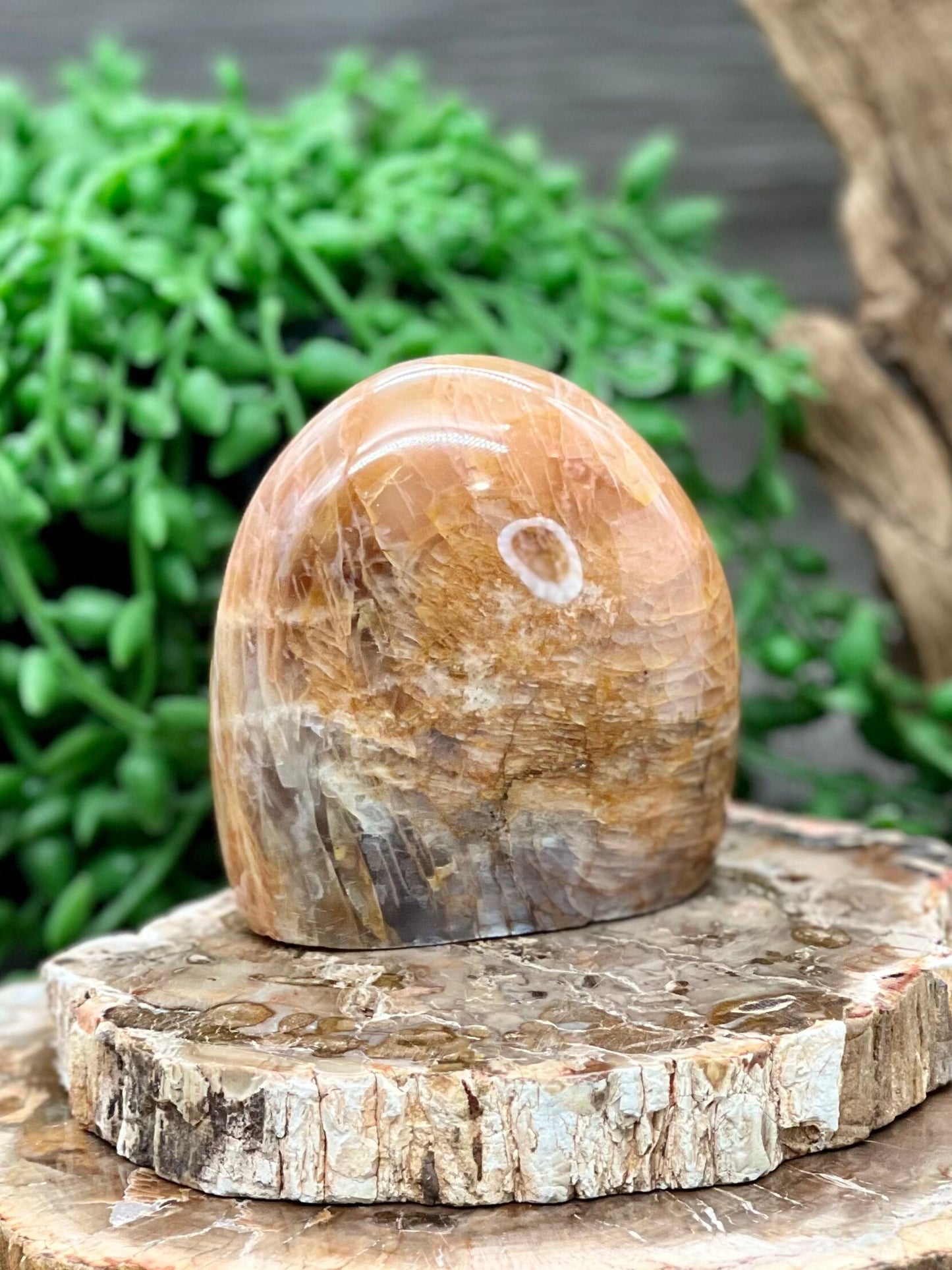 Peach Moonstone Freeform