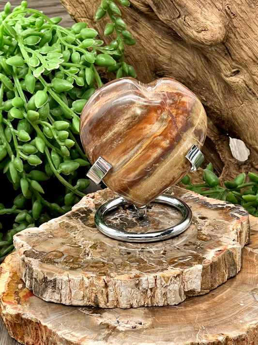 Petrified Wood Heart