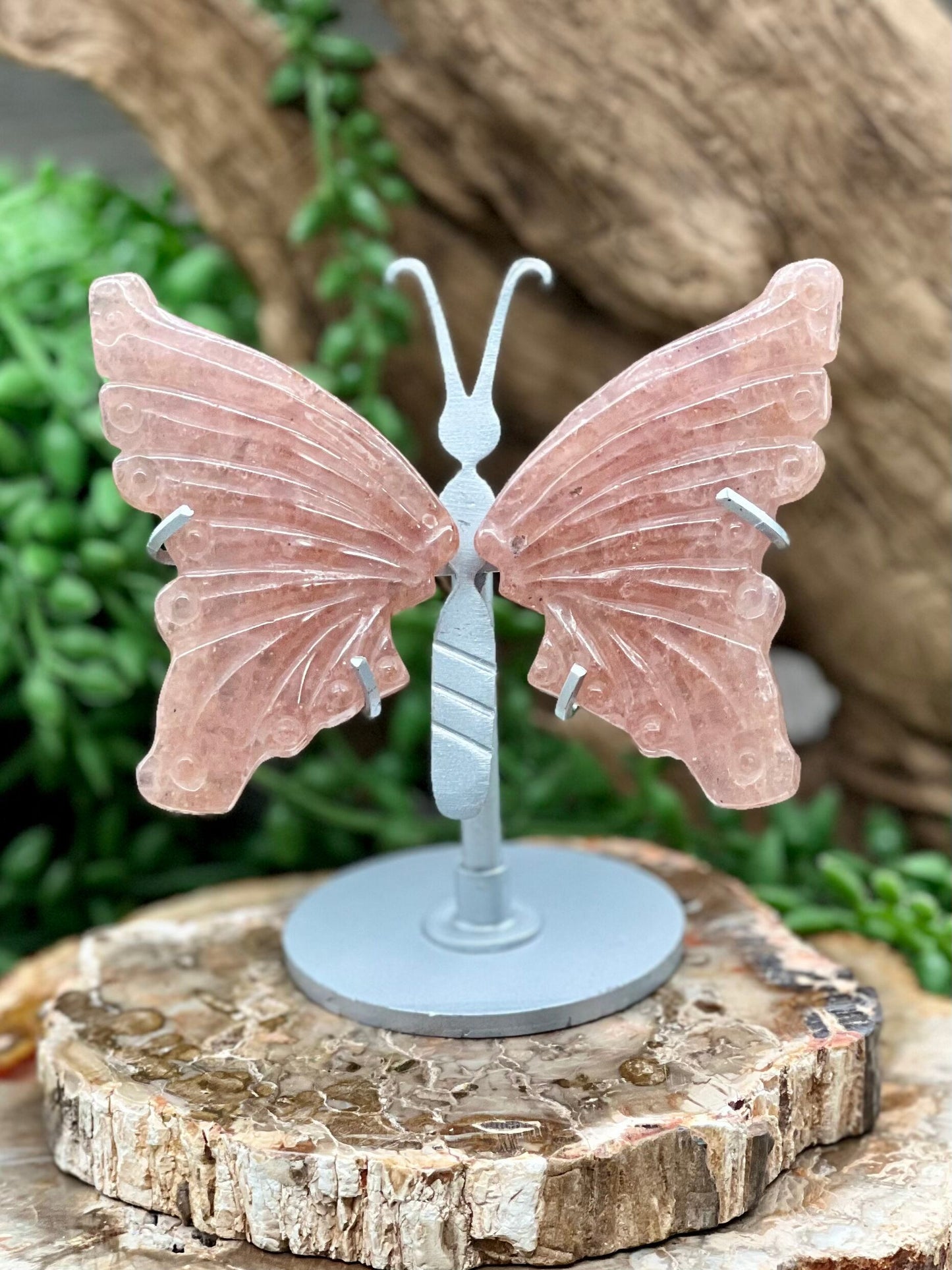 Butterfly Wing with Stand