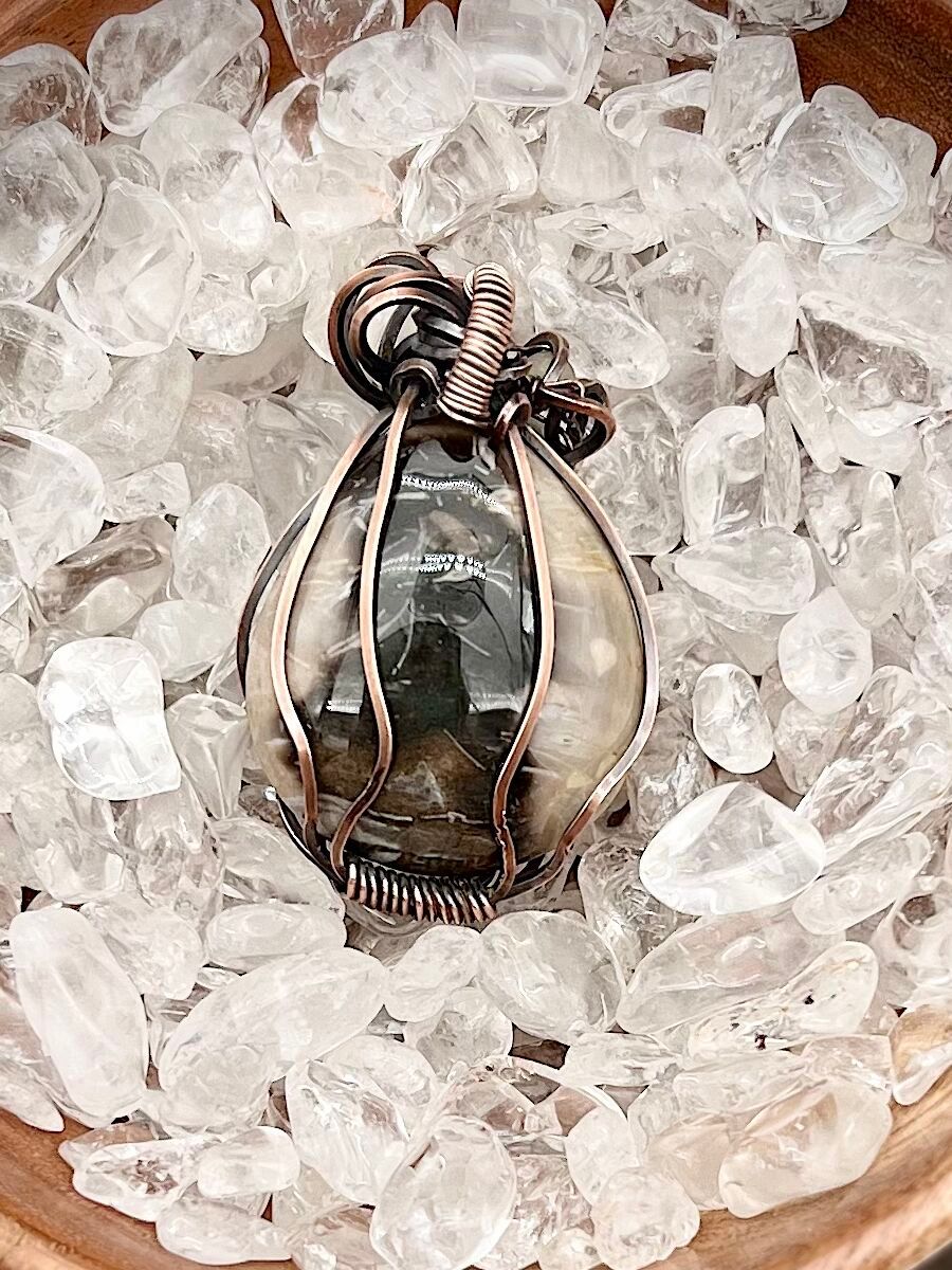 Palm Root Fossil Wire Wrapped Pendant