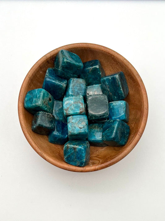 Blue Appetite Cube