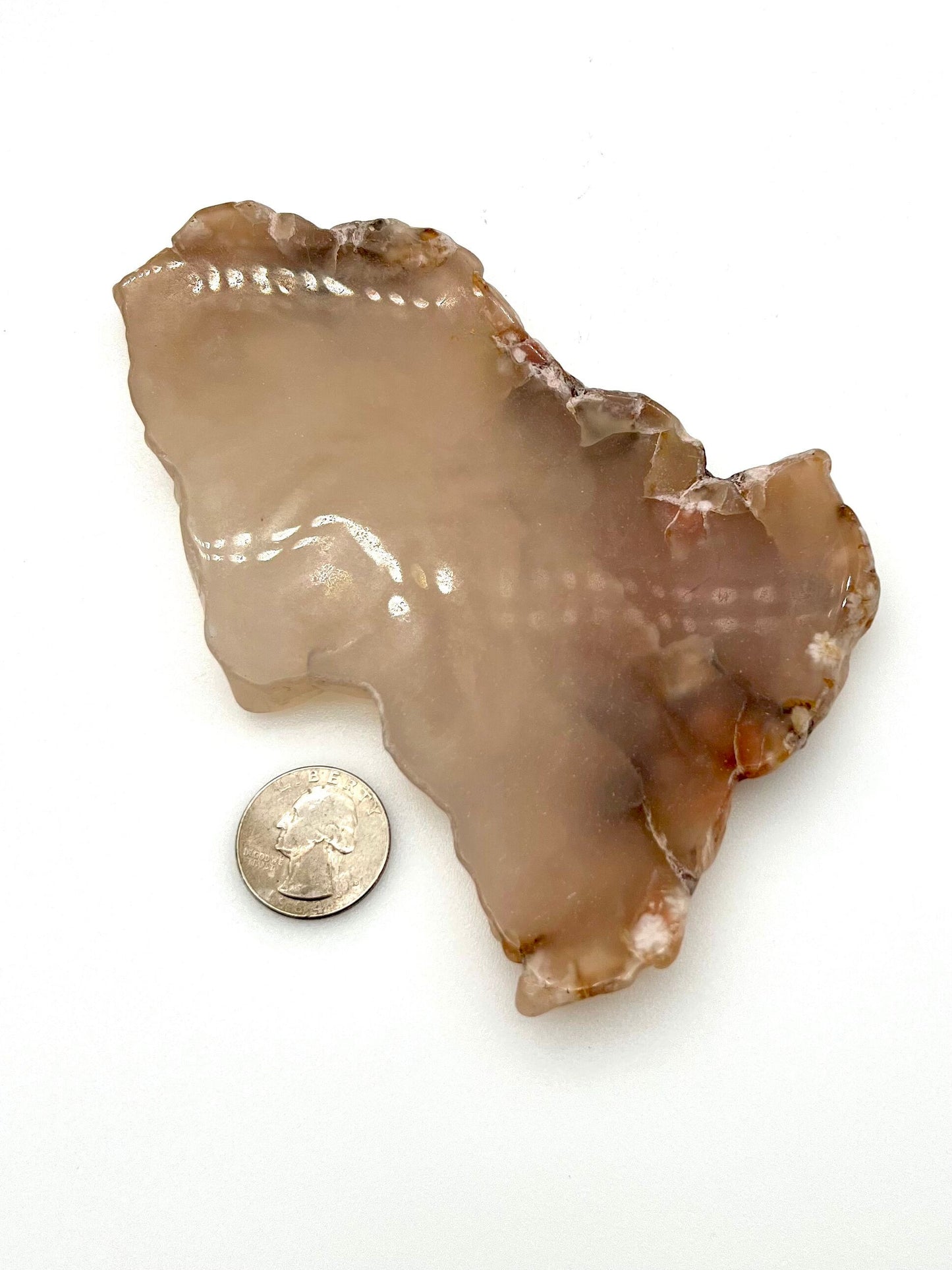 Flower Agate Slab