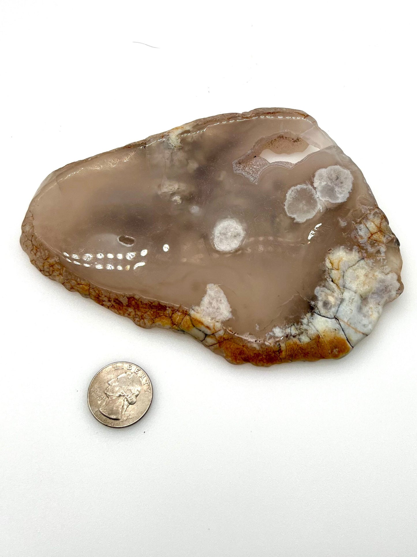 Flower Agate Slab