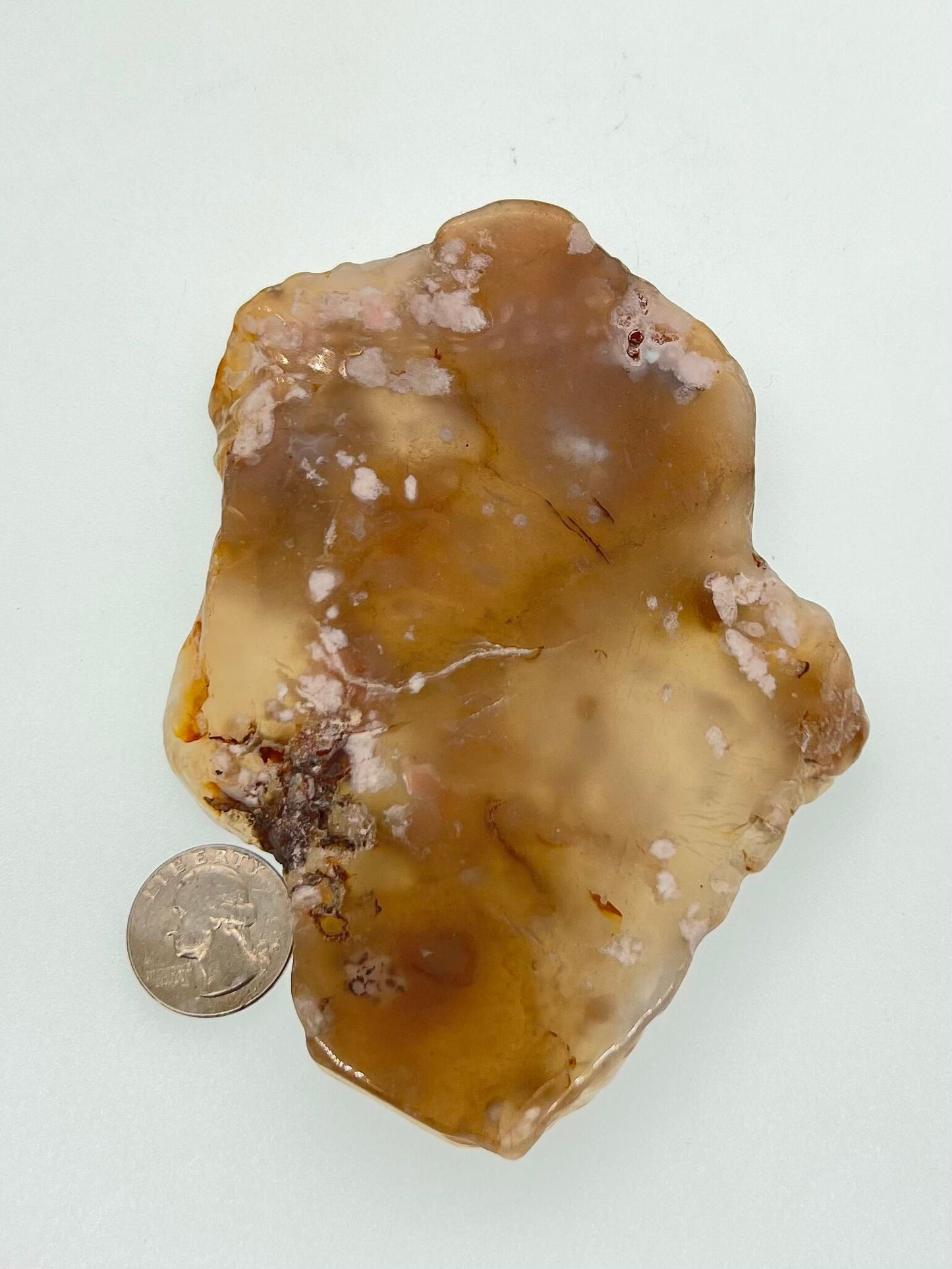 Flower Agate Slab