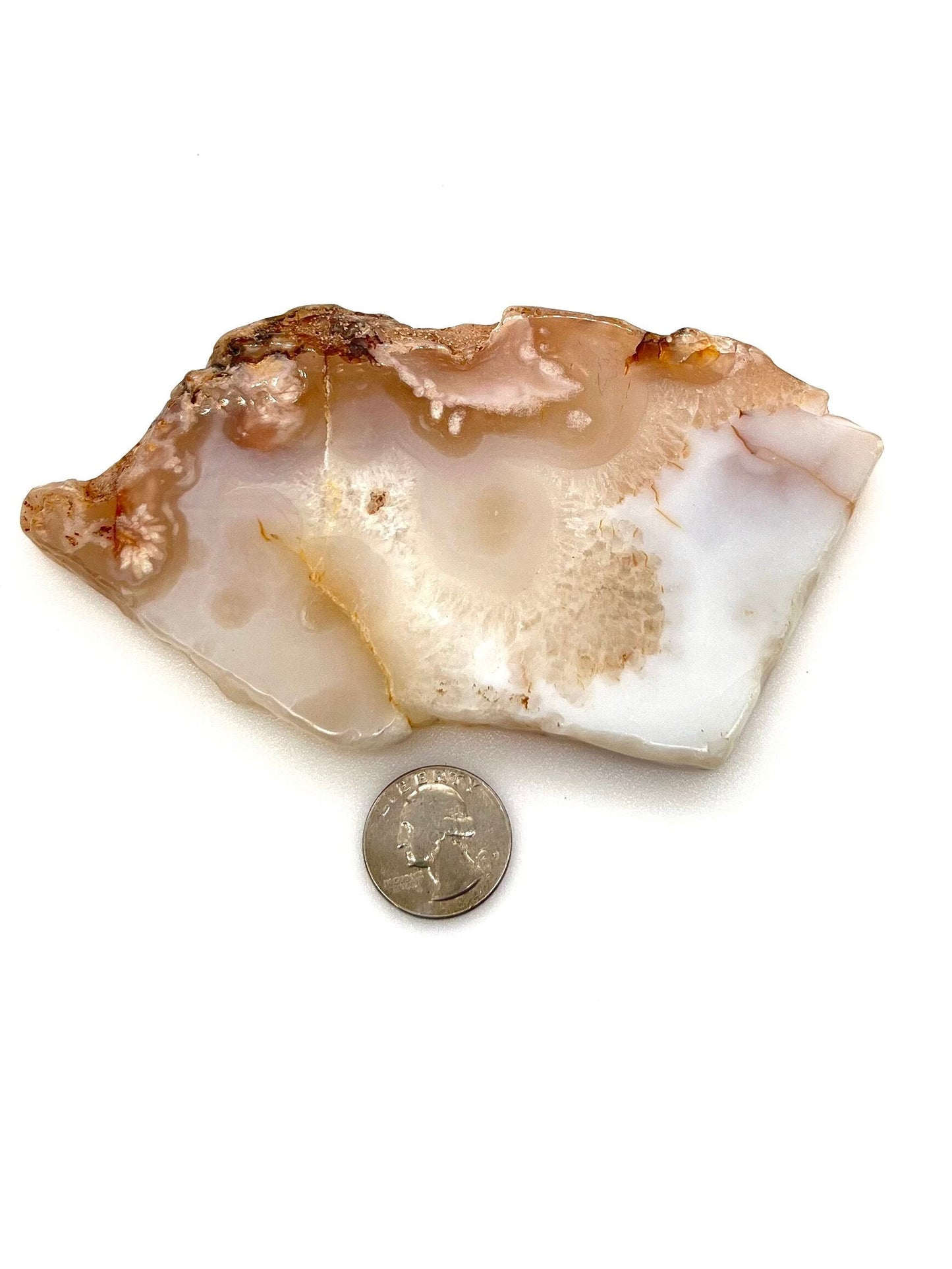 Flower Agate Slab