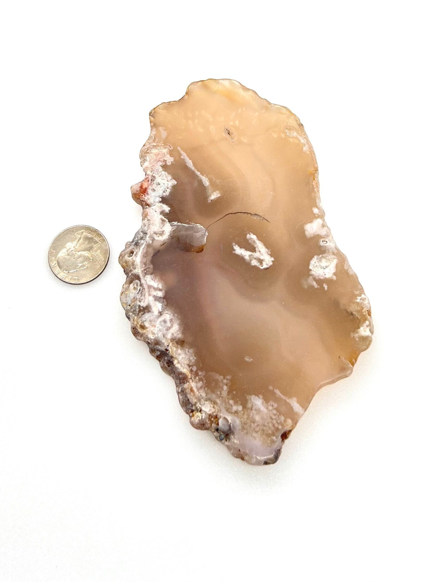 Flower Agate Slab