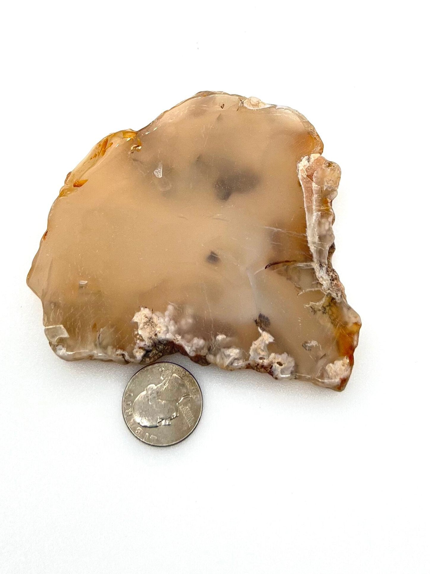 Flower Agate Slab