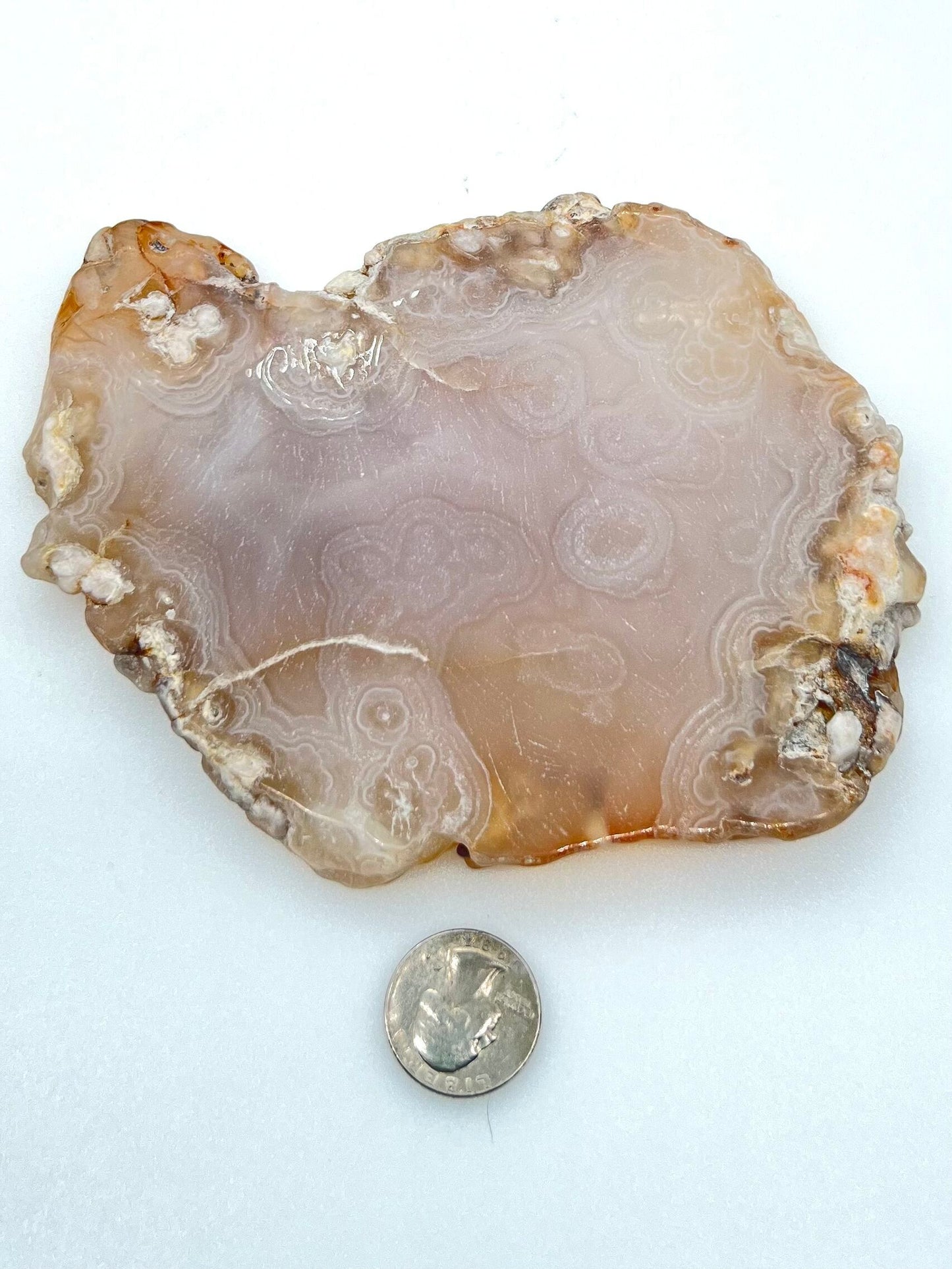 Flower Agate Slab