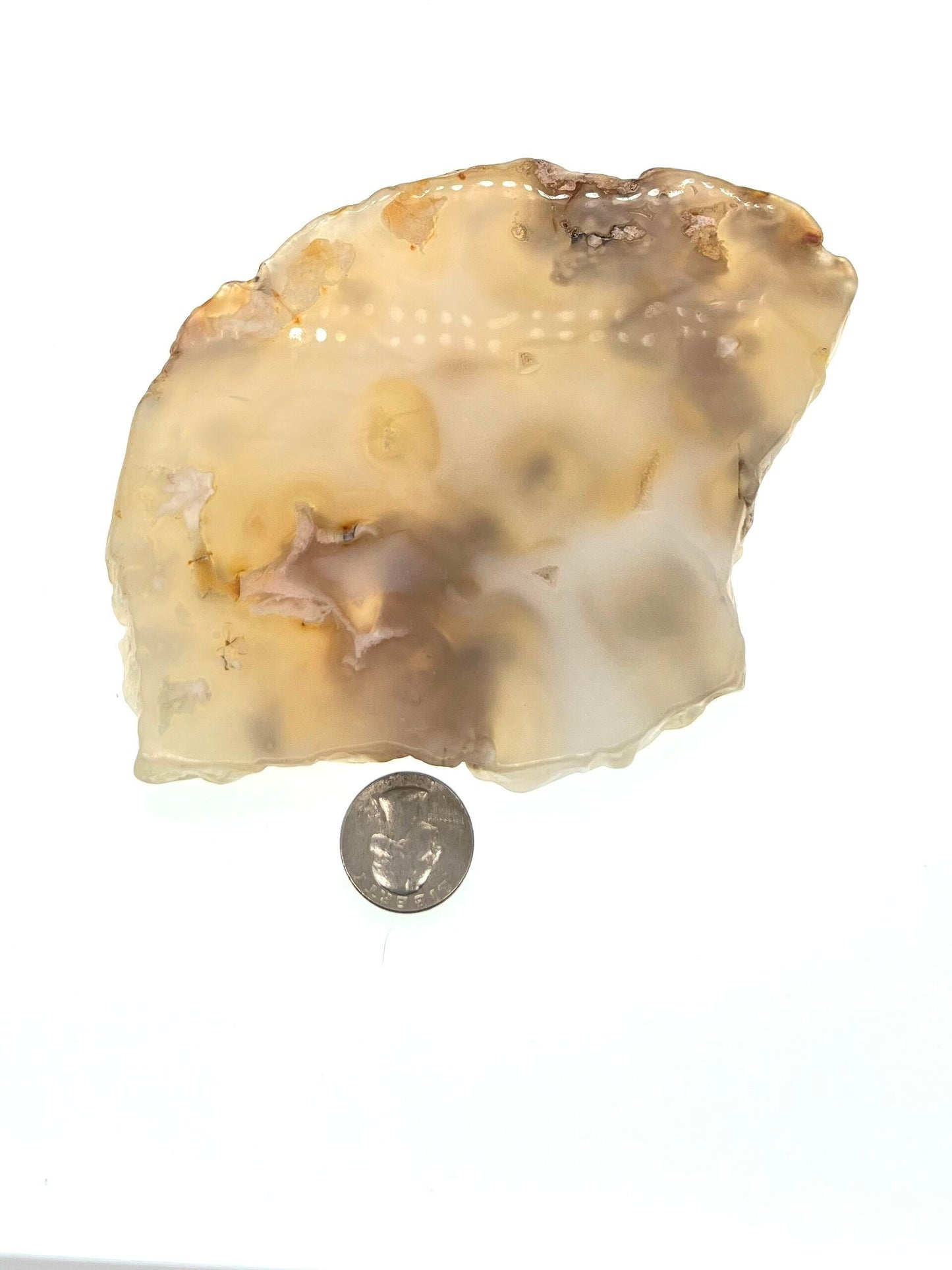 Flower Agate Slab