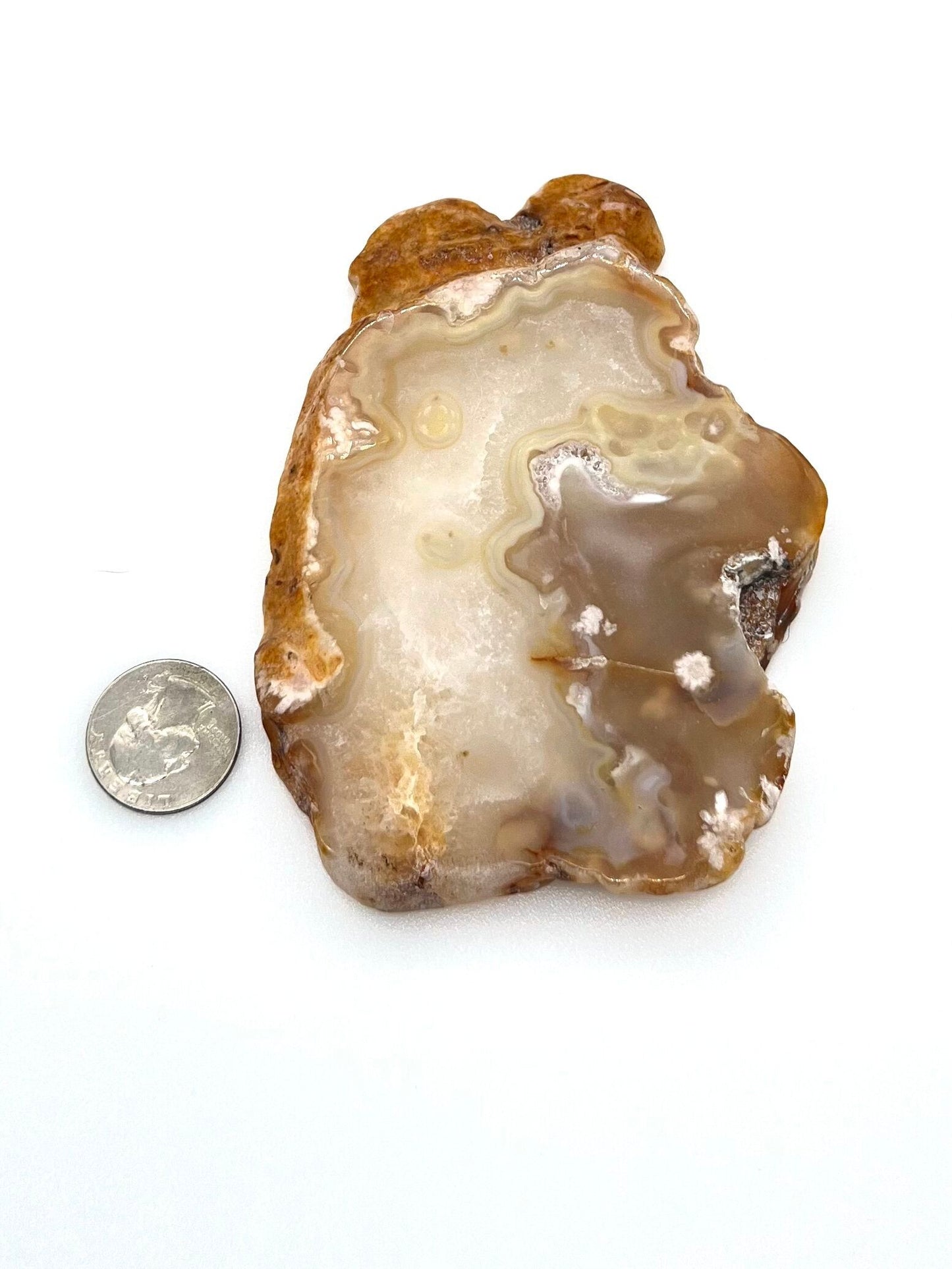 Flower Agate Slab