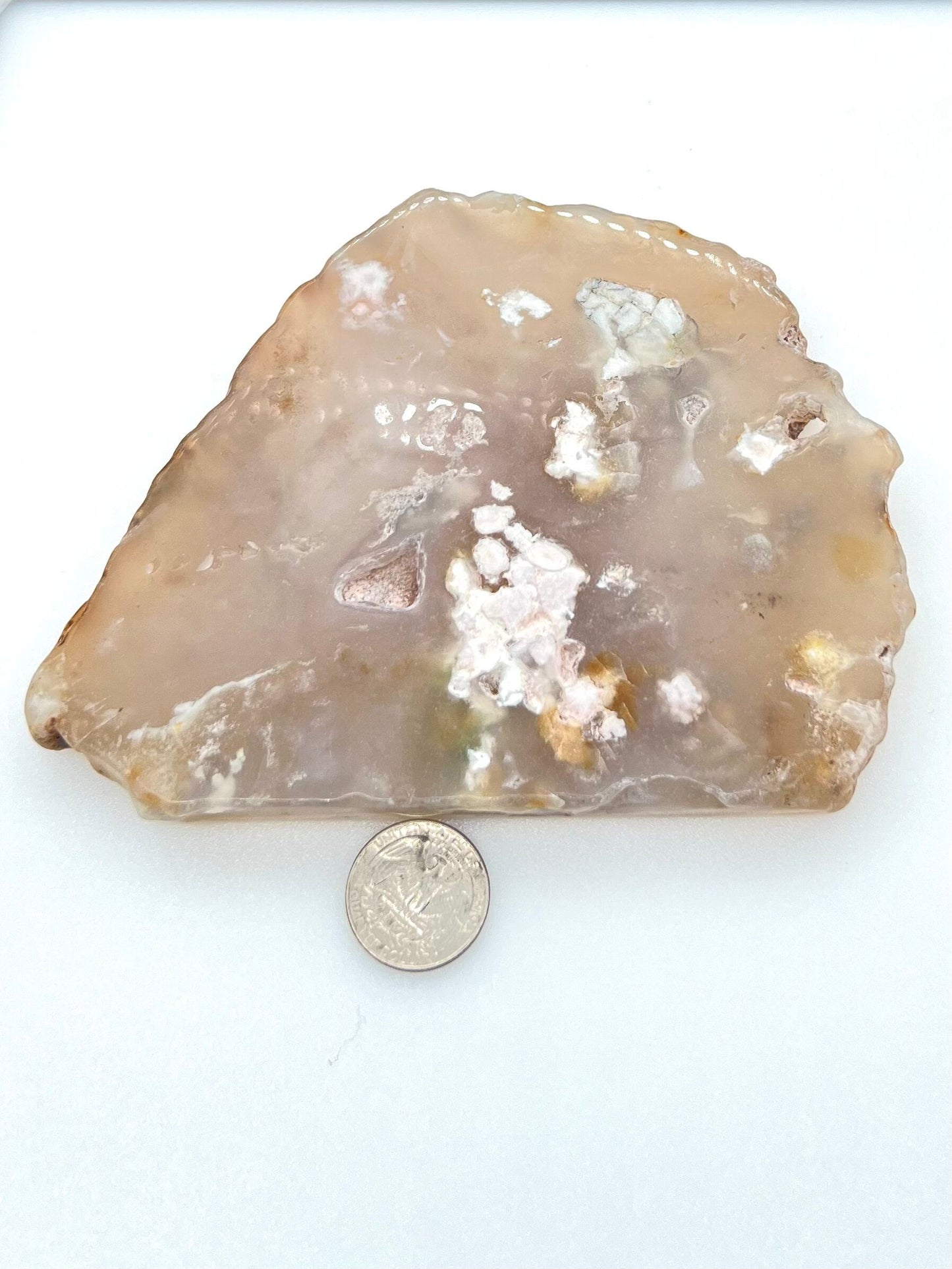 Flower Agate Slab