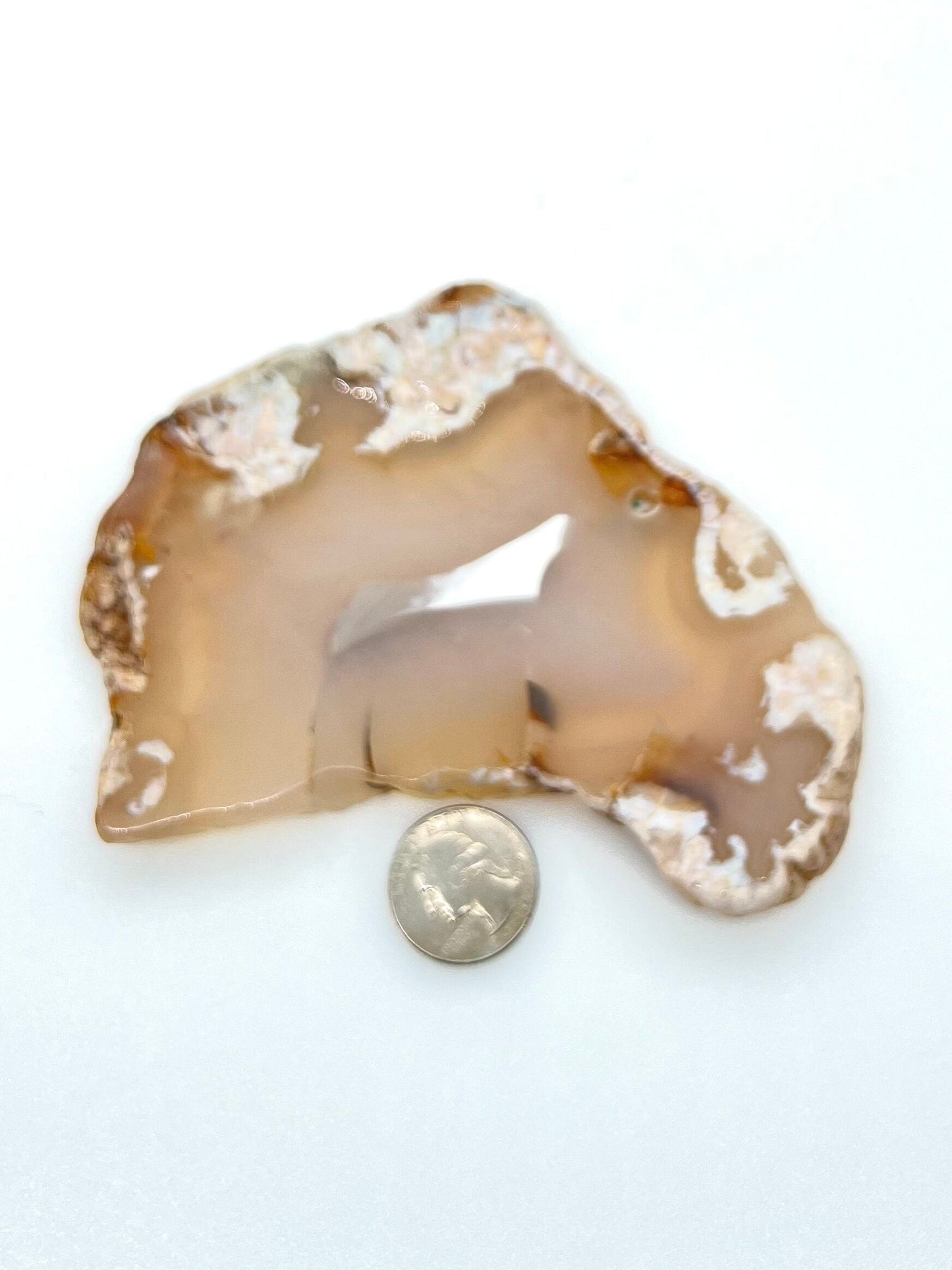 Flower Agate Slab