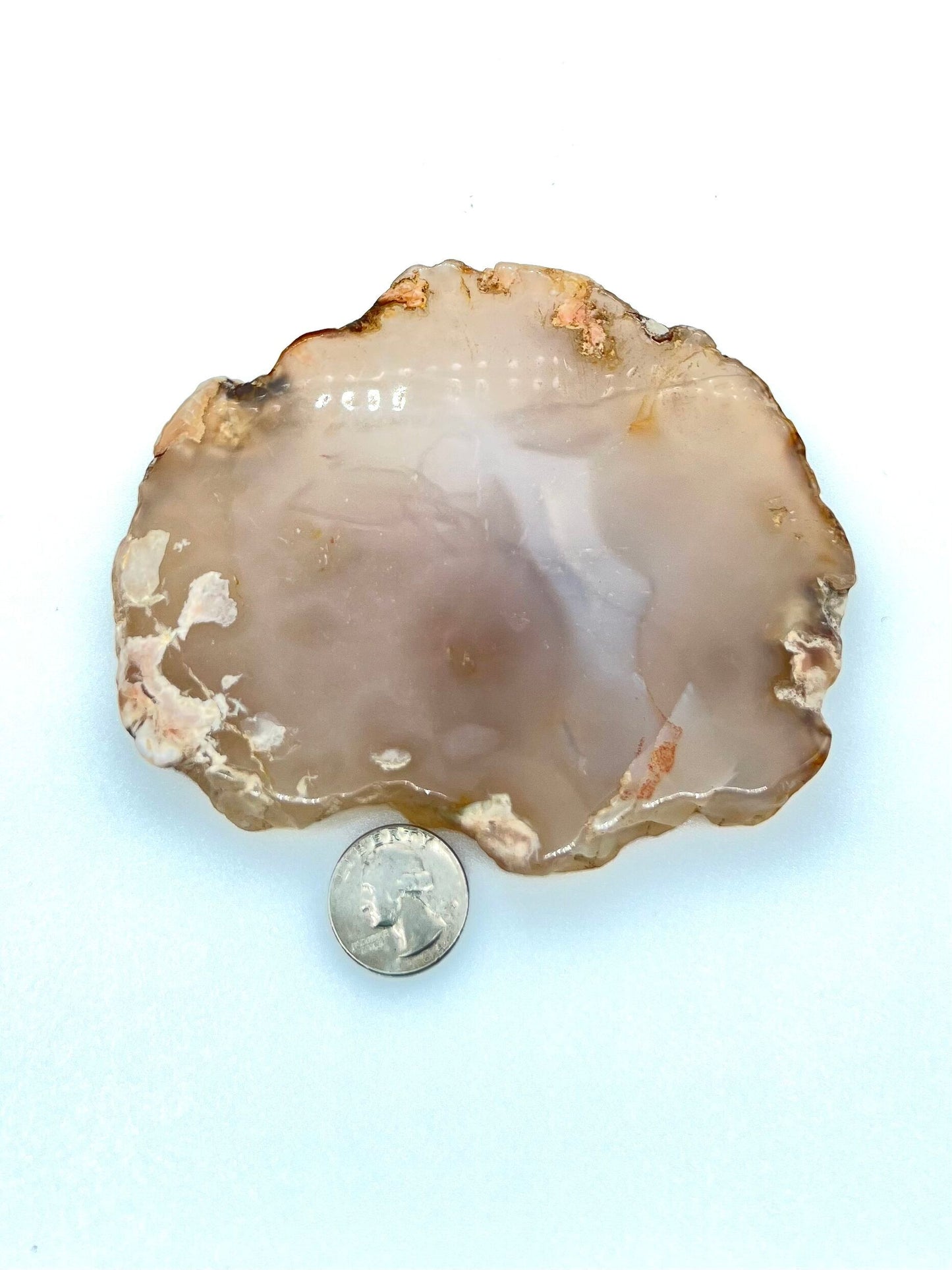 Flower Agate Slab