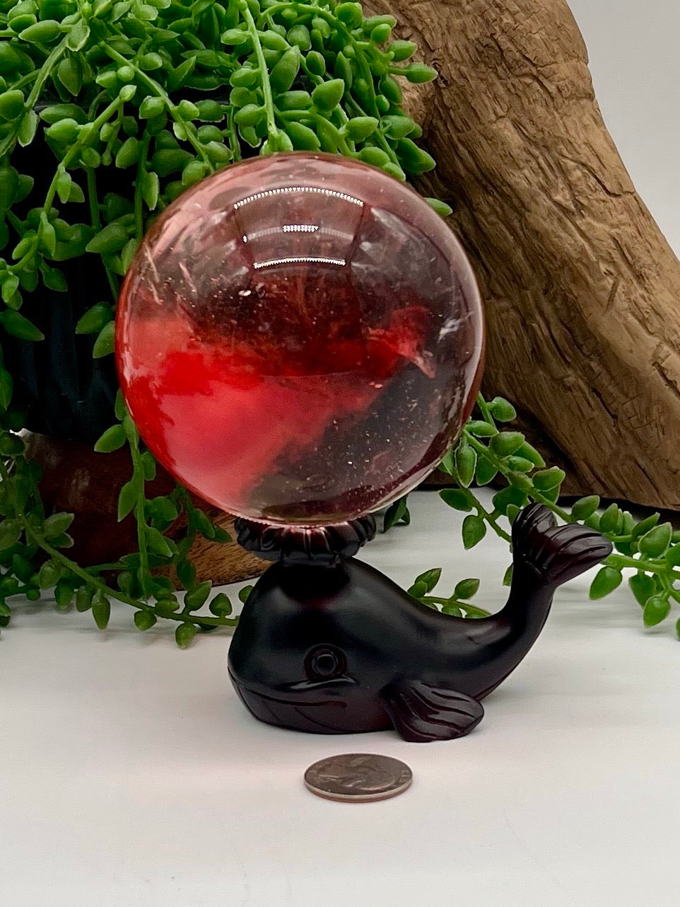 Black Resin Whale Sphere Stand