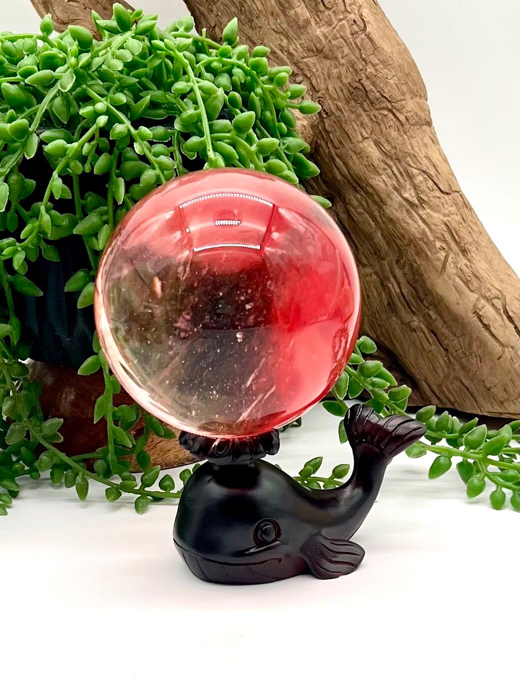 Black Resin Whale Sphere Stand