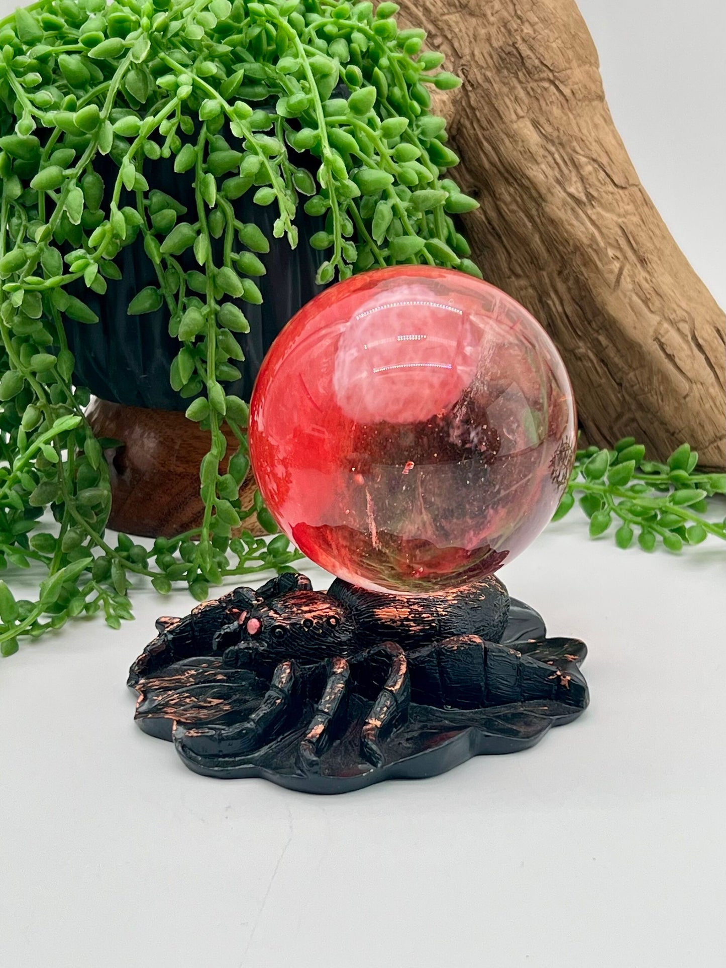 Black and Orange Resin Spider Stand