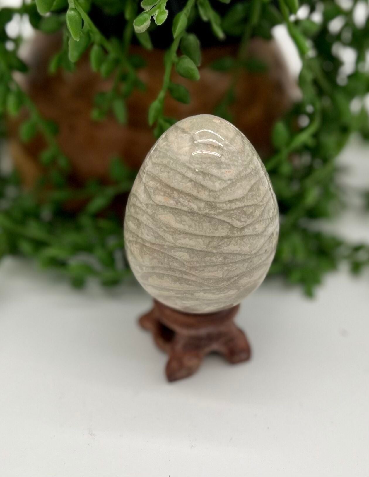 Chocolate Zebra Jasper Egg