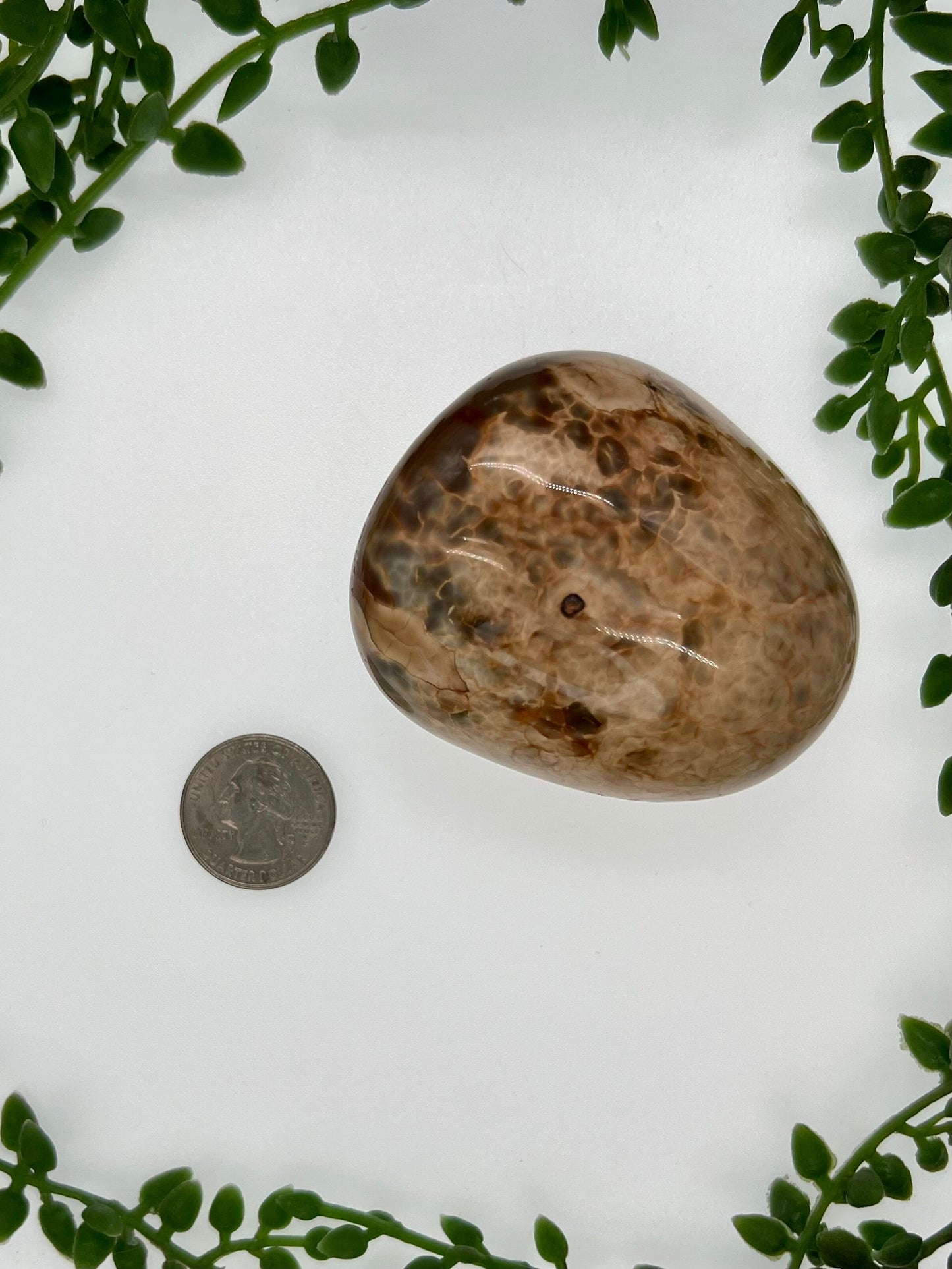 Large Agate Palm Stone