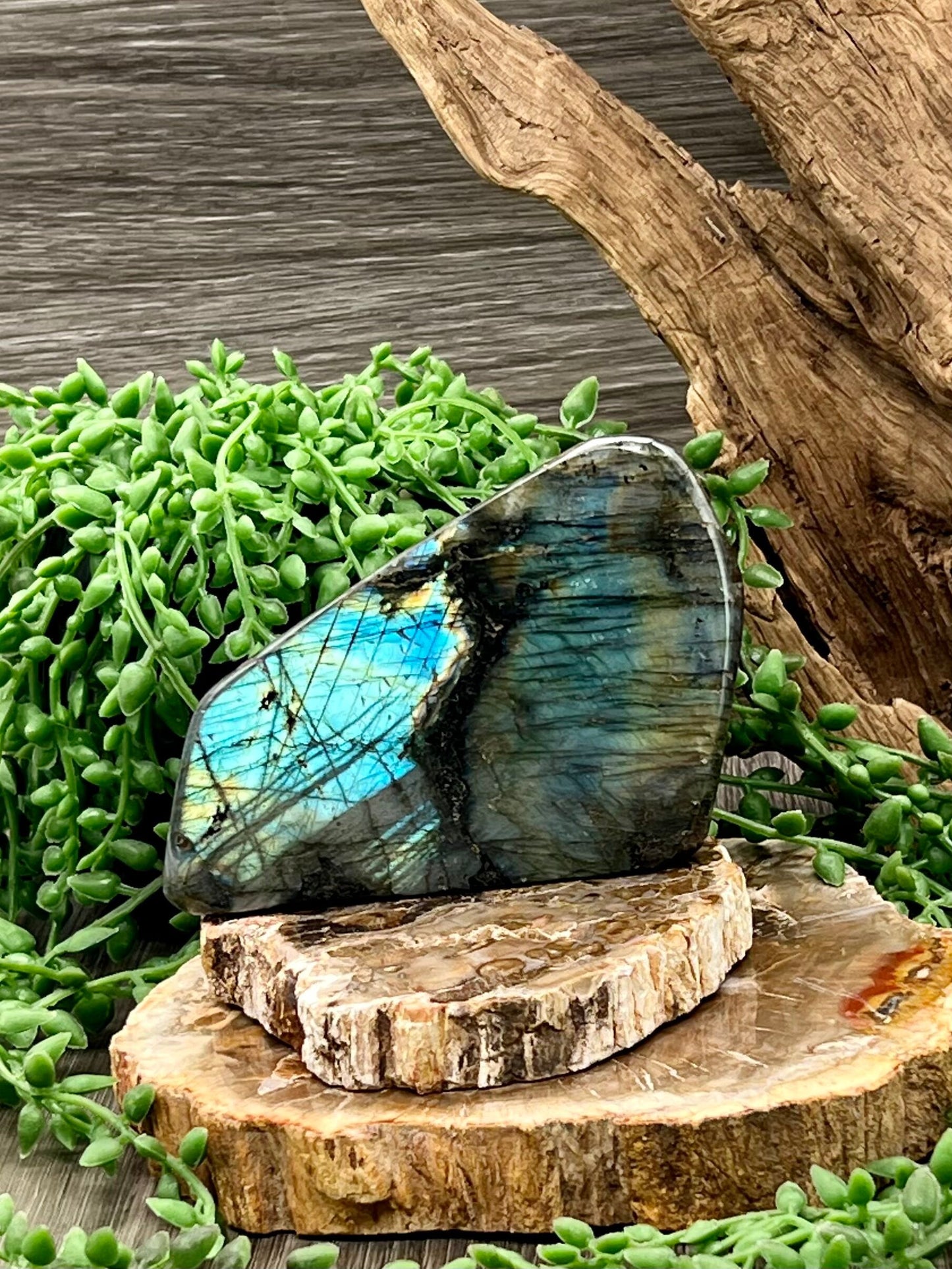 Labradorite Freeform