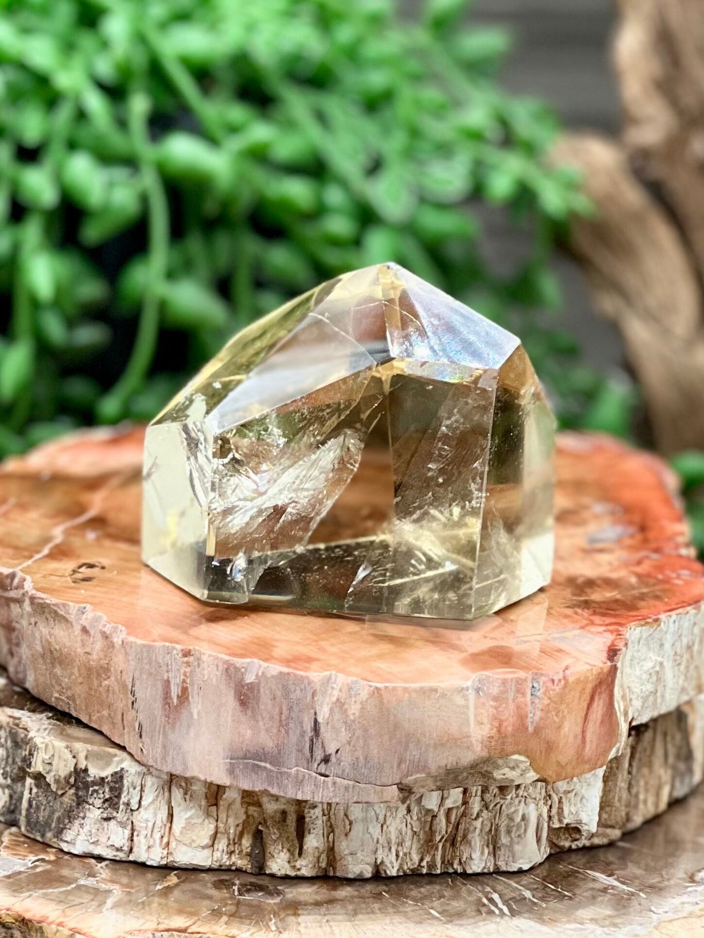 Smokey Citrine Freeform