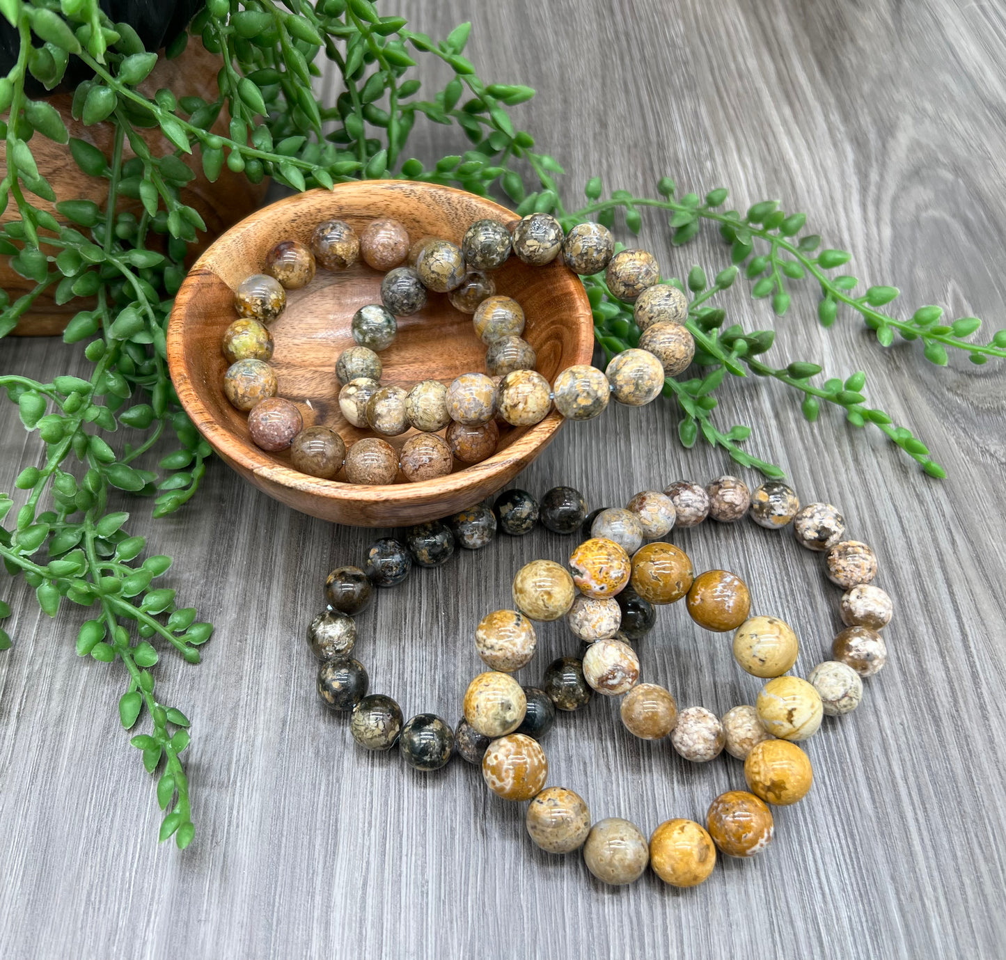 Picture Stone Jasper Bracelet