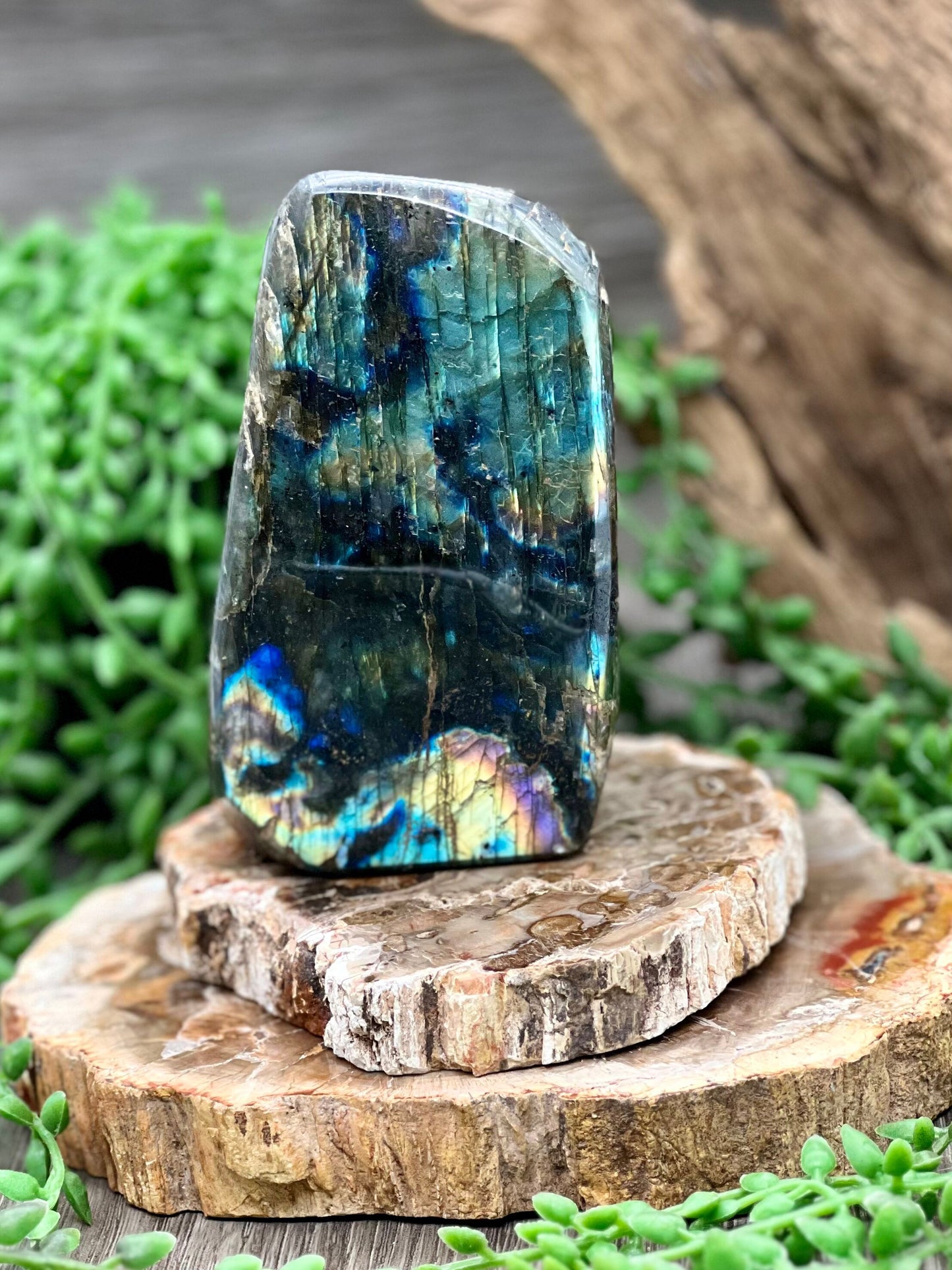 Labradorite Freeform