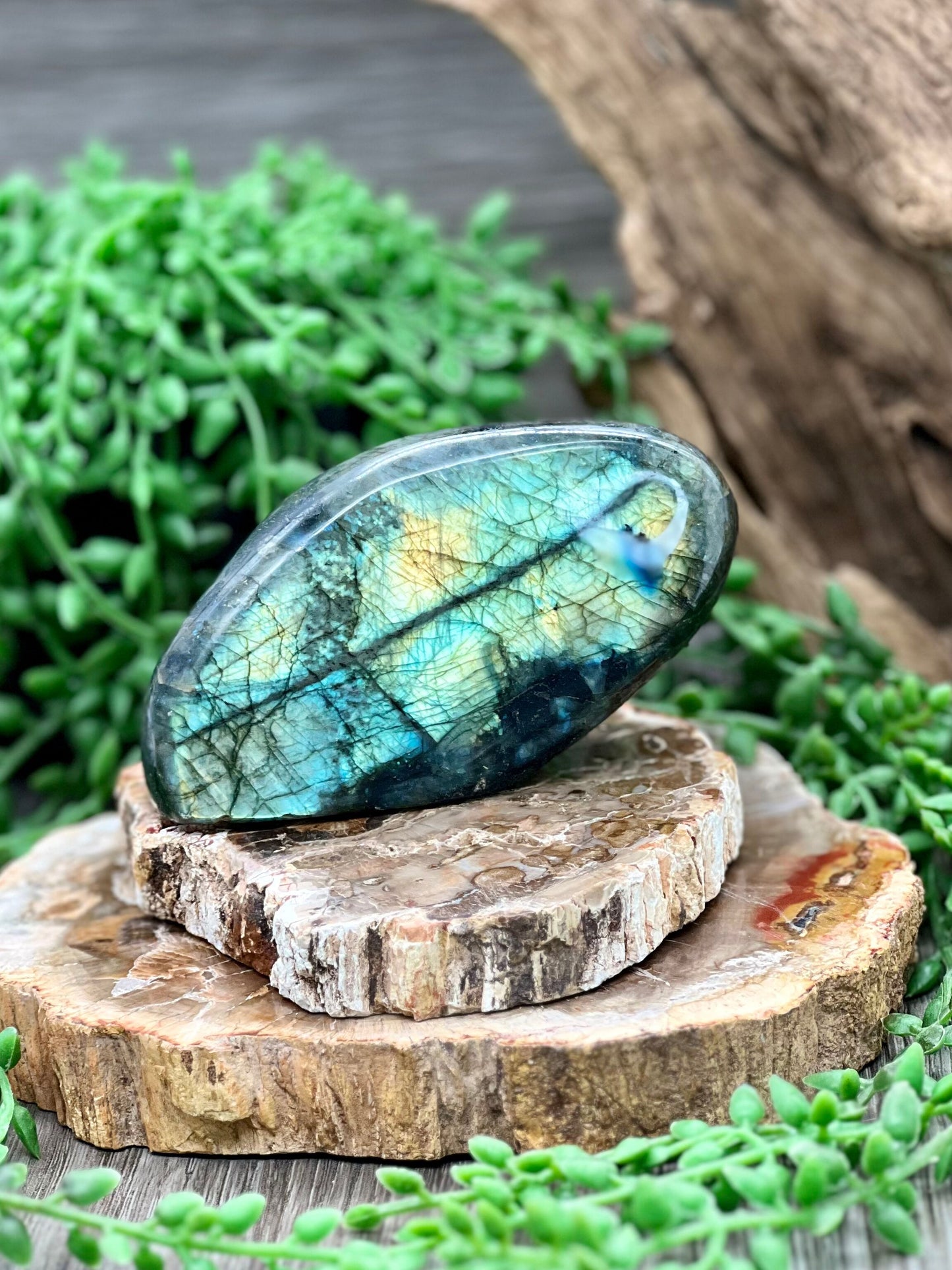 Labradorite Freeform