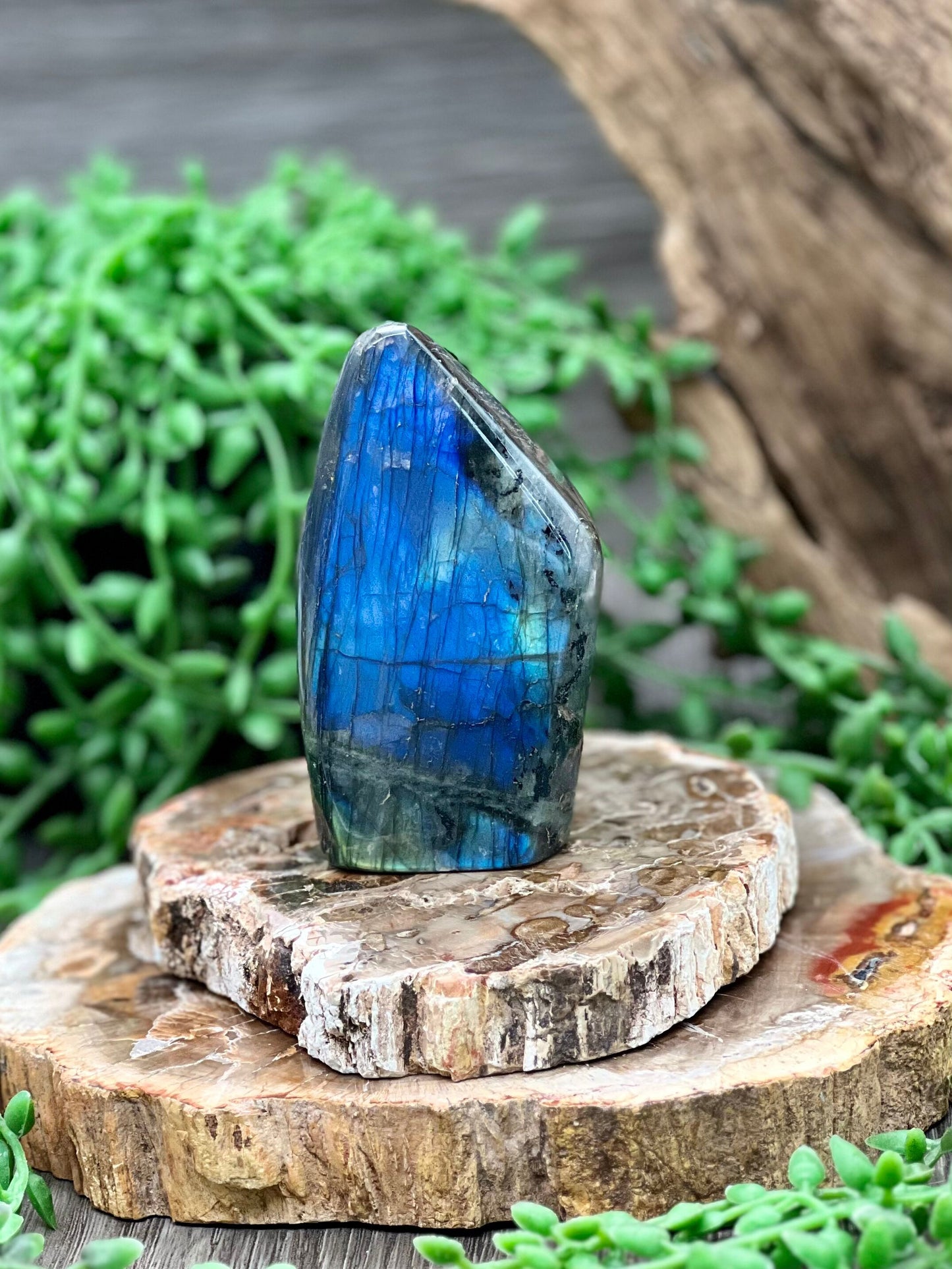 Labradorite Freeform