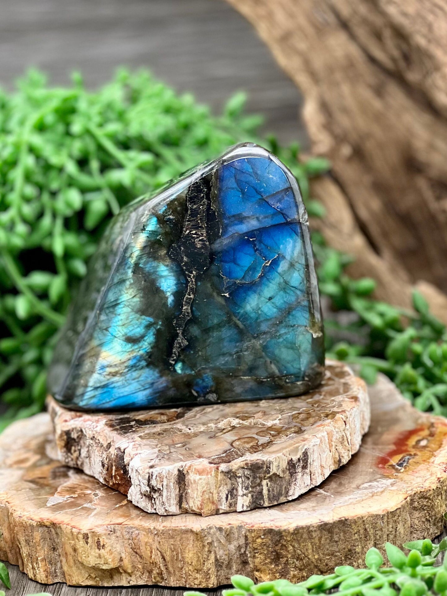 Labradorite Freeform