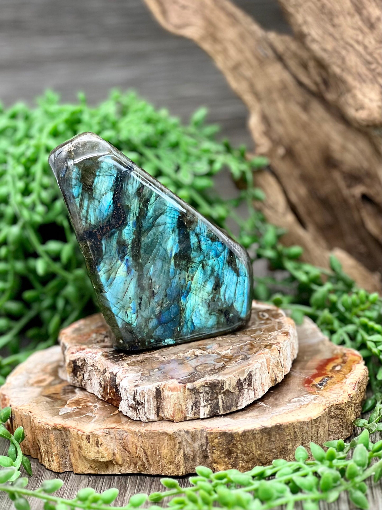 Labradorite Freeform