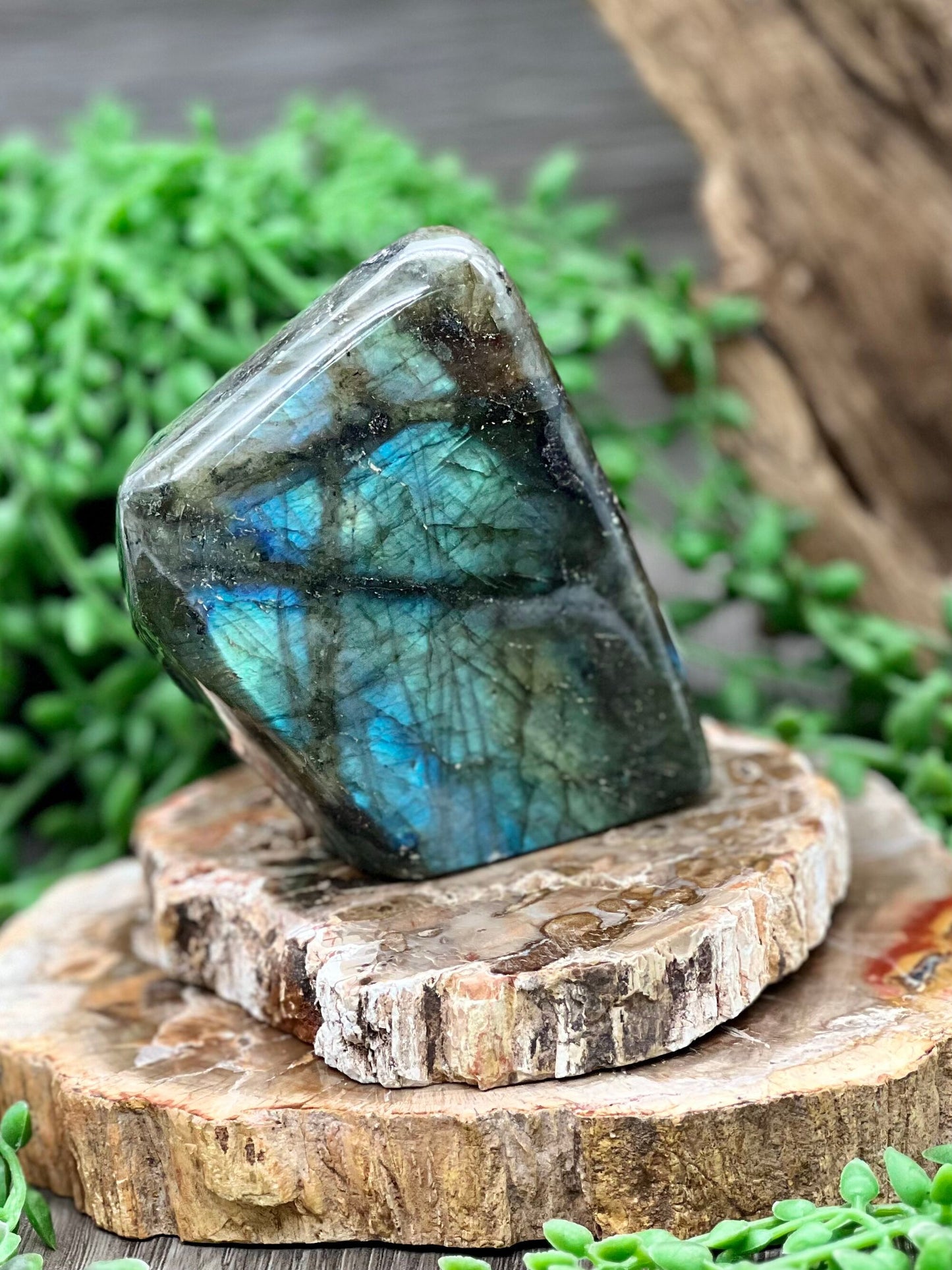 Labradorite Freeform