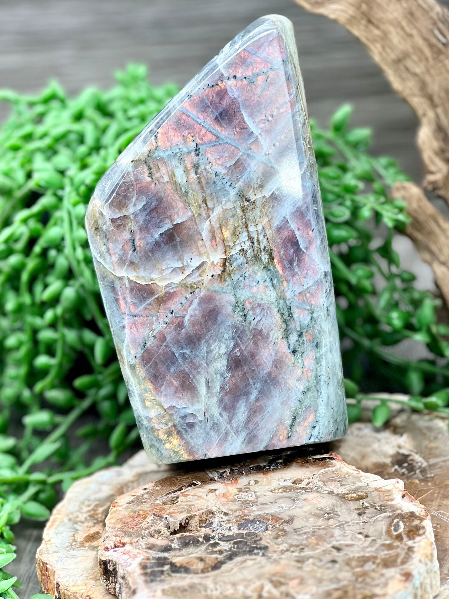 Labradorite Freeform